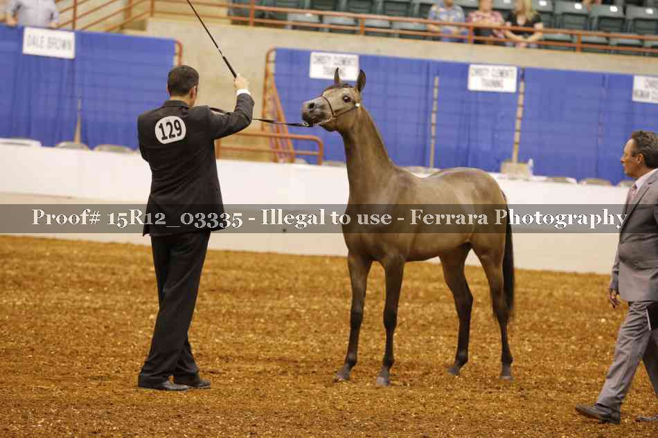Proof 15R12_03335
