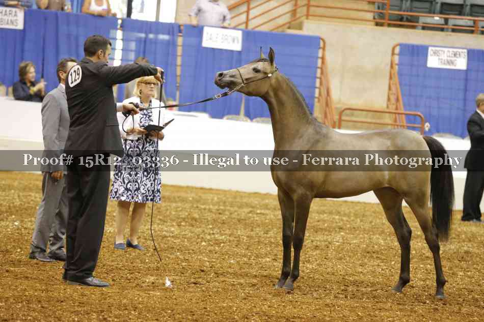 Proof 15R12_03336