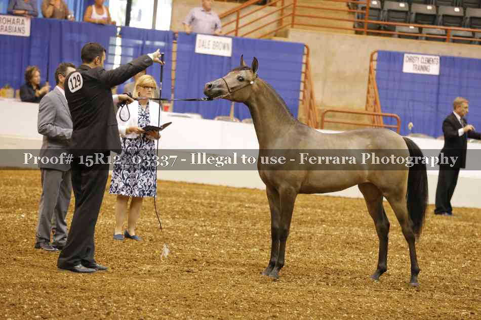Proof 15R12_03337