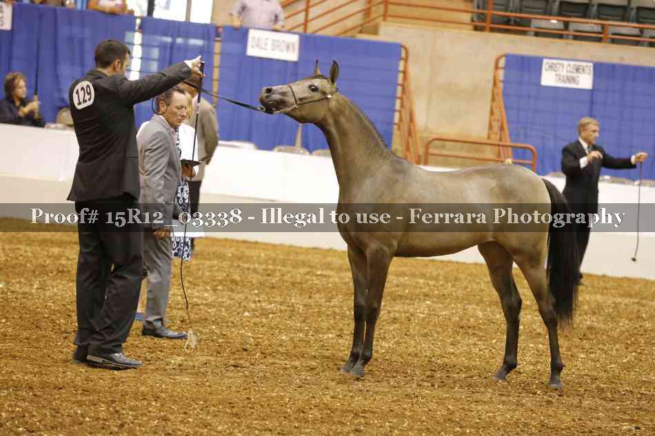 Proof 15R12_03338