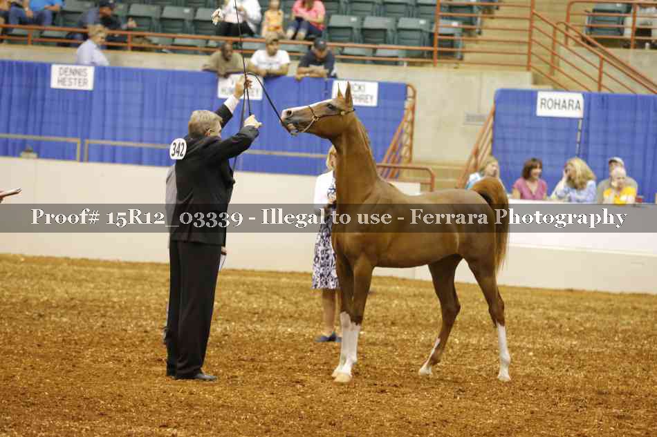 Proof 15R12_03339