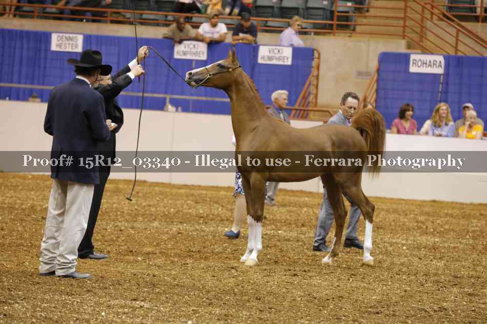 Proof 15R12_03340