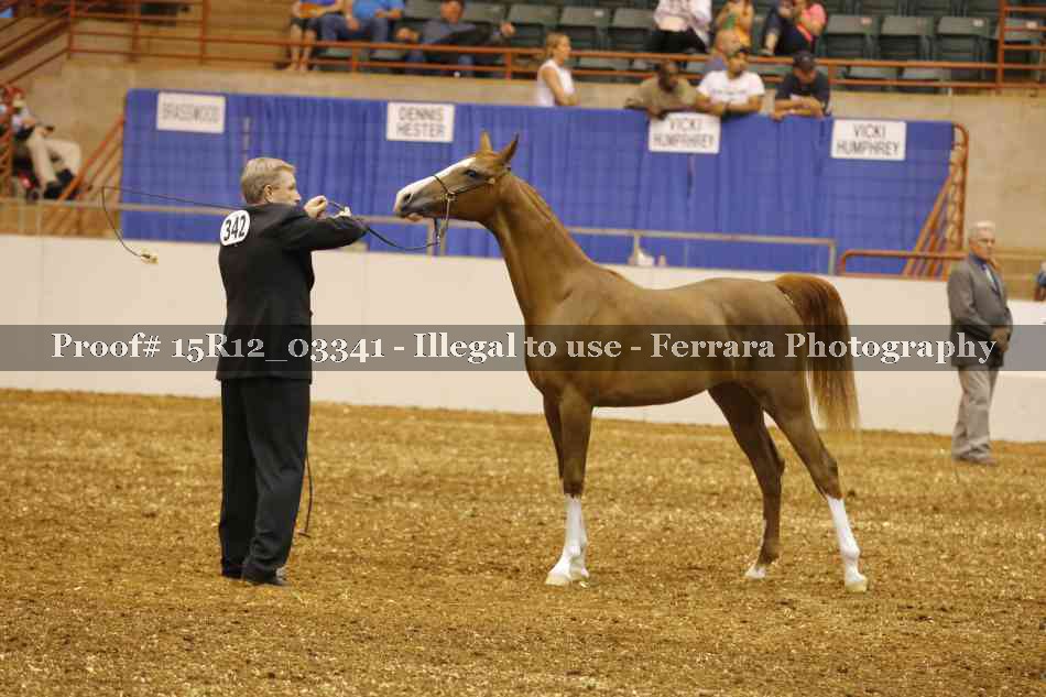 Proof 15R12_03341