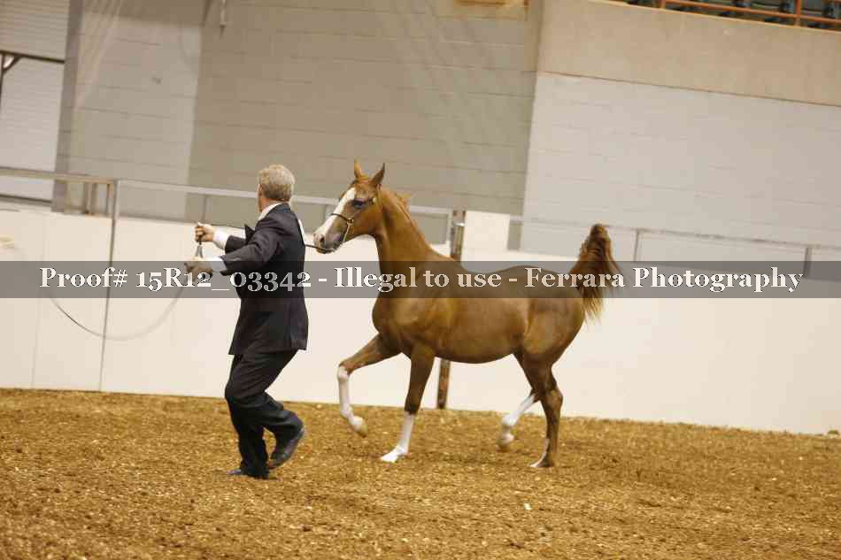 Proof 15R12_03342