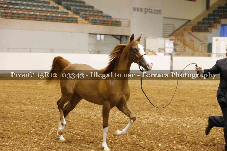 Proof 15R12_03343