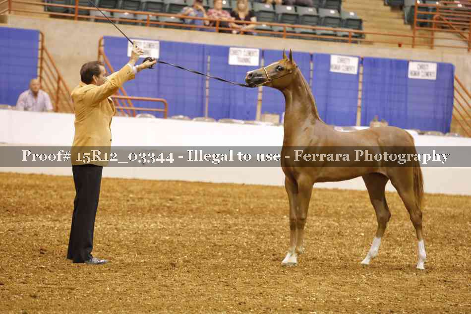 Proof 15R12_03344