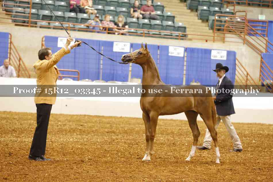 Proof 15R12_03345