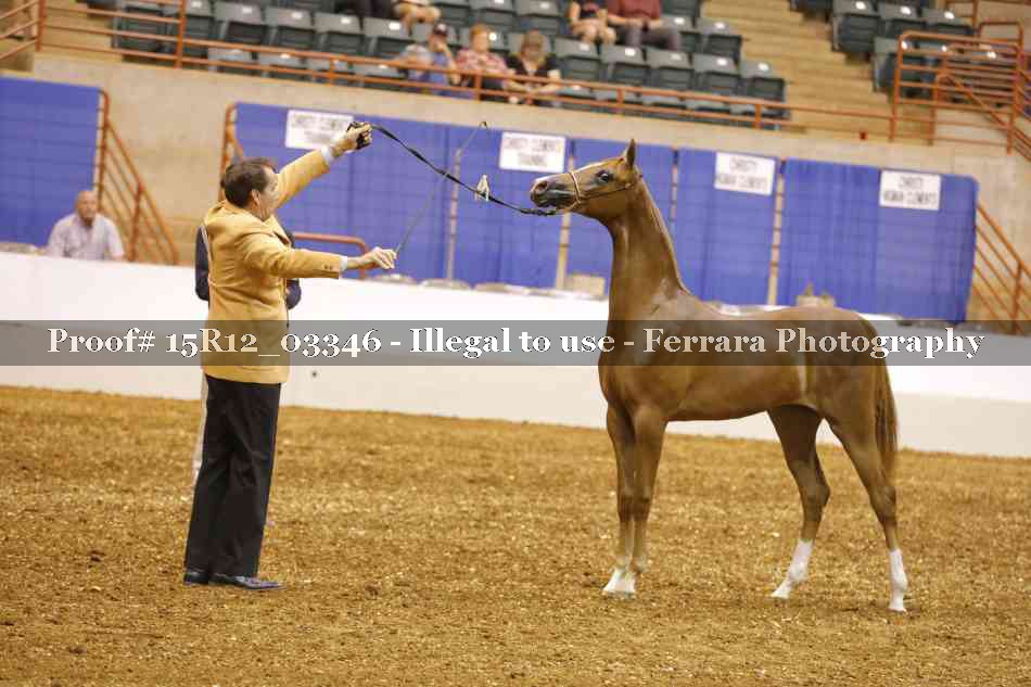 Proof 15R12_03346