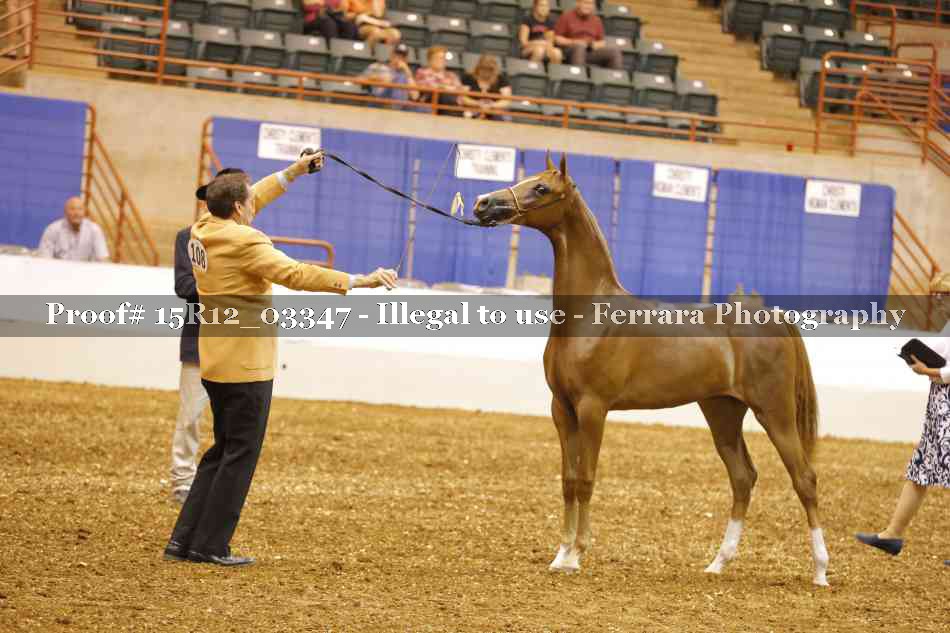Proof 15R12_03347