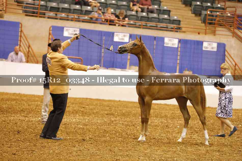 Proof 15R12_03348
