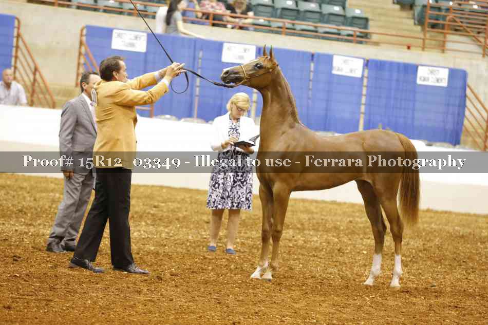 Proof 15R12_03349