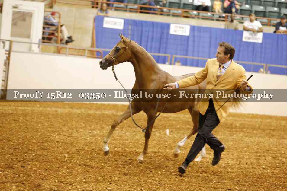 Proof 15R12_03350