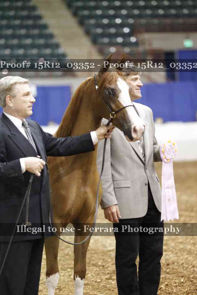 Proof 15R12_03352