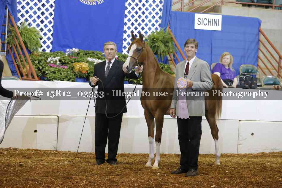 Proof 15R12_03353
