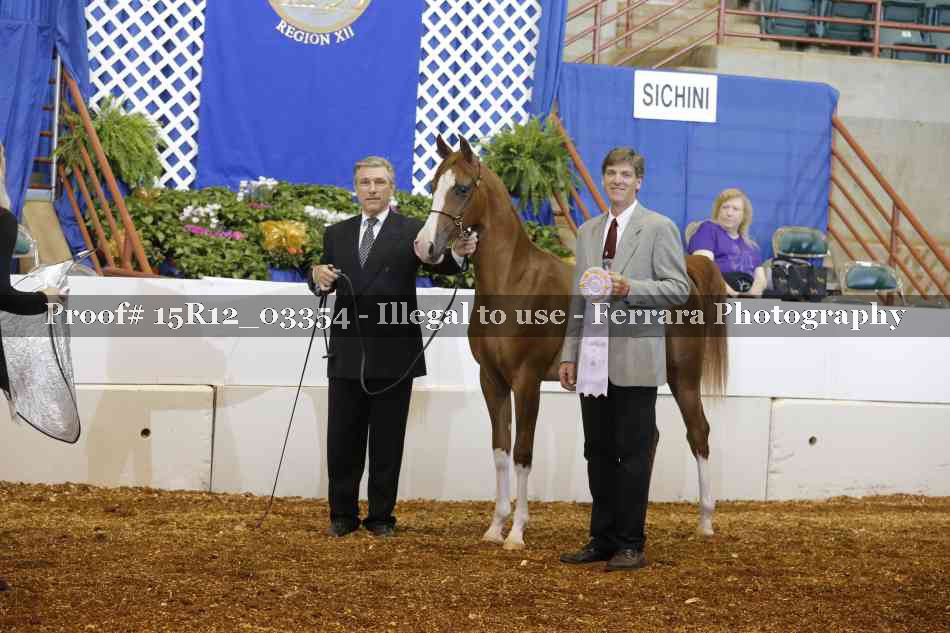 Proof 15R12_03354