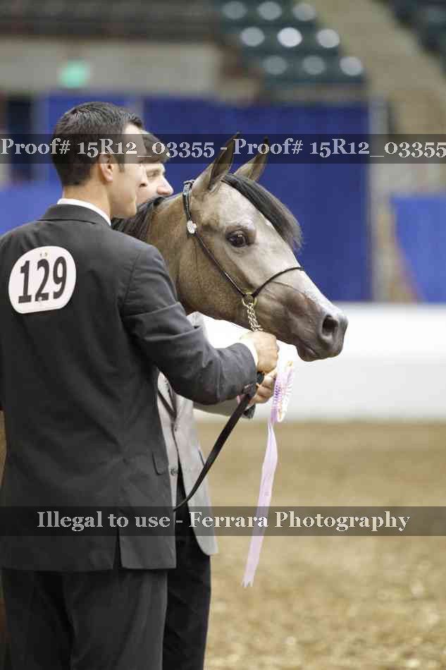 Proof 15R12_03355