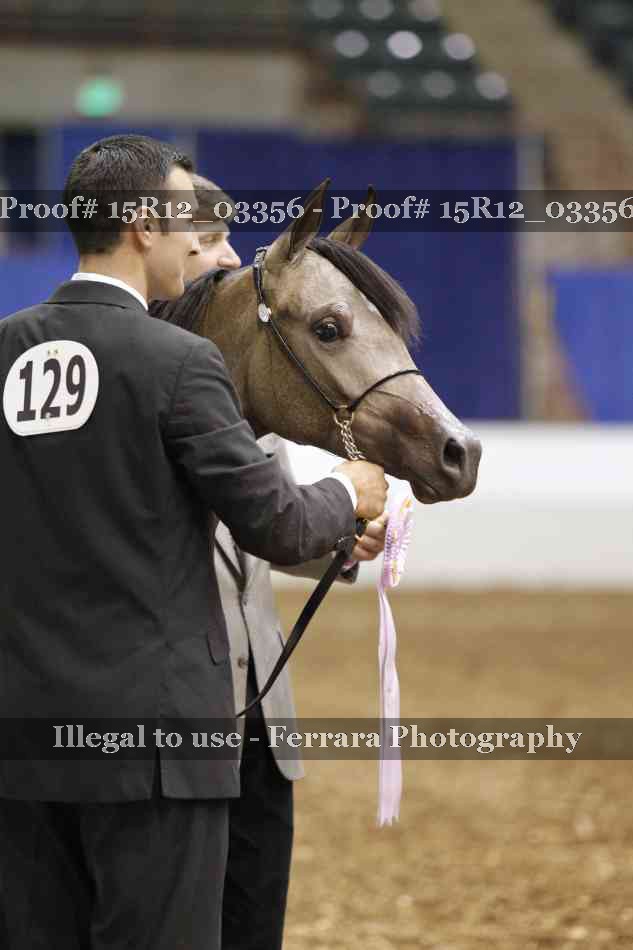 Proof 15R12_03356