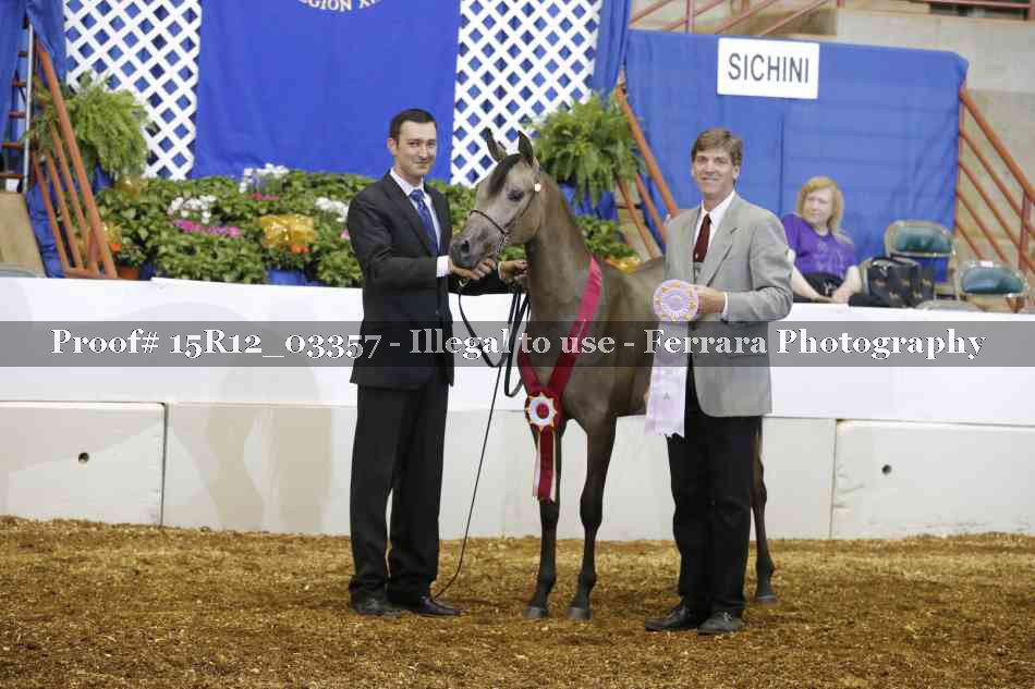 Proof 15R12_03357