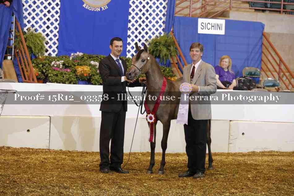 Proof 15R12_03358