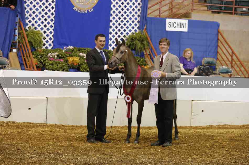 Proof 15R12_03359