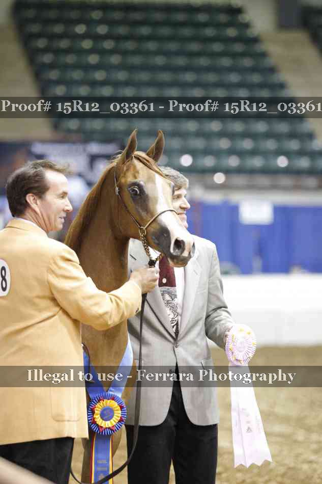 Proof 15R12_03361