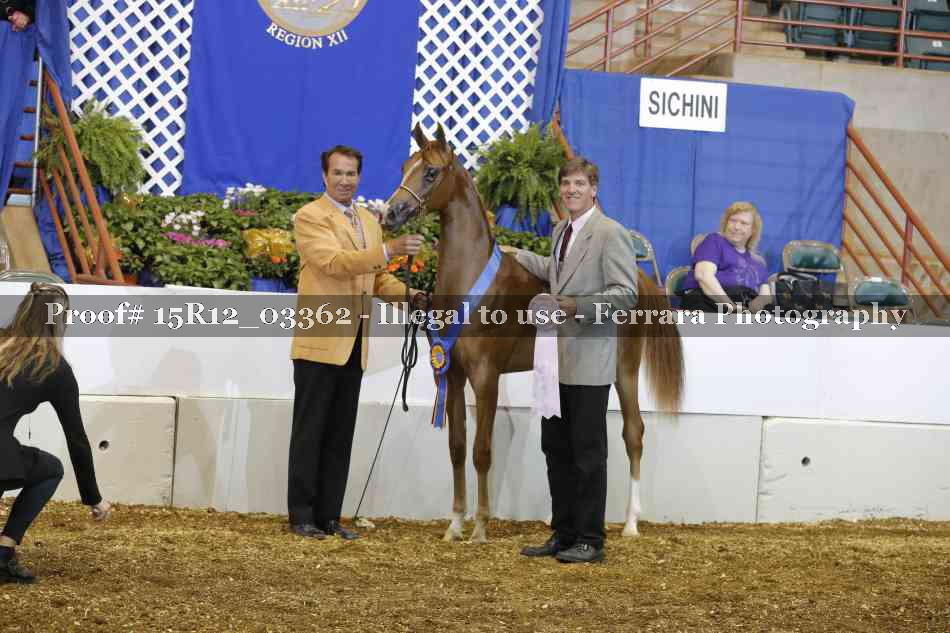 Proof 15R12_03362