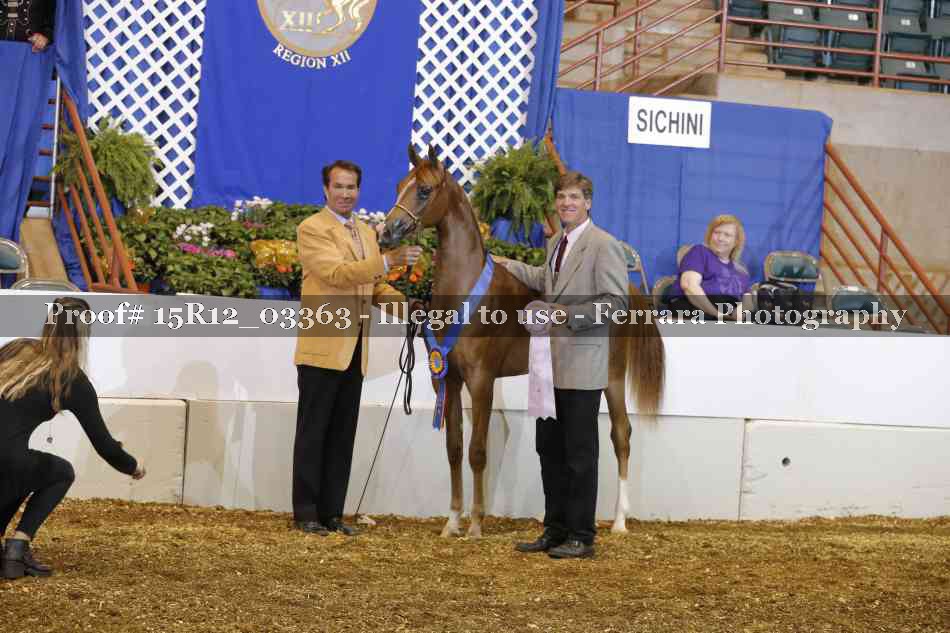Proof 15R12_03363