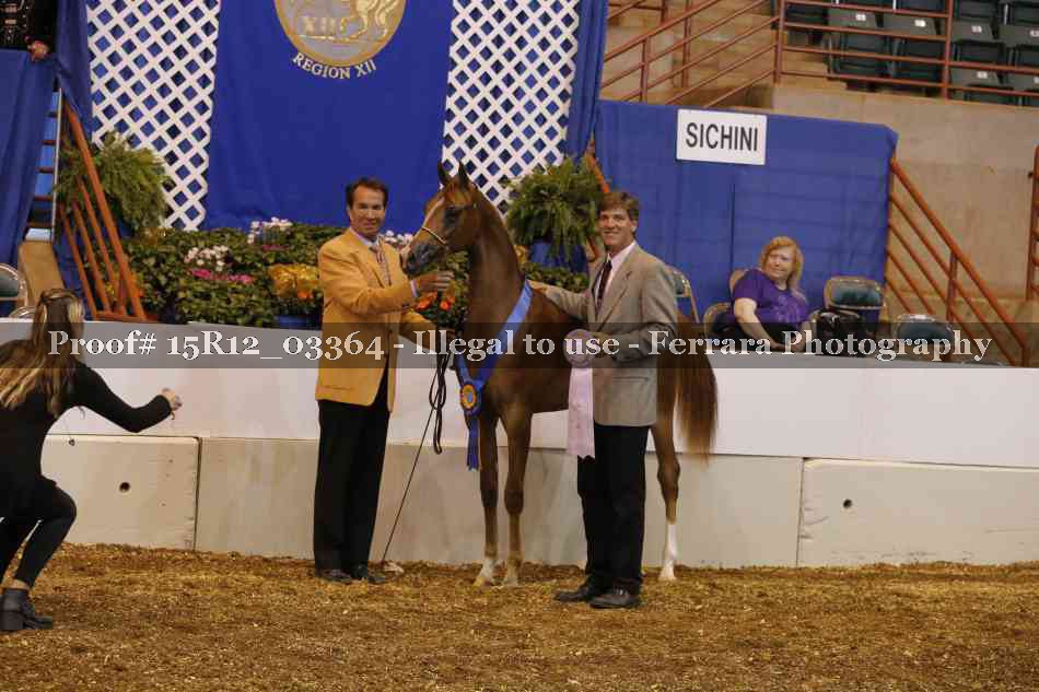 Proof 15R12_03364