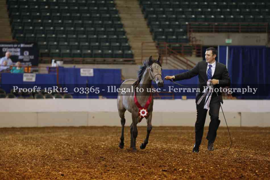 Proof 15R12_03365