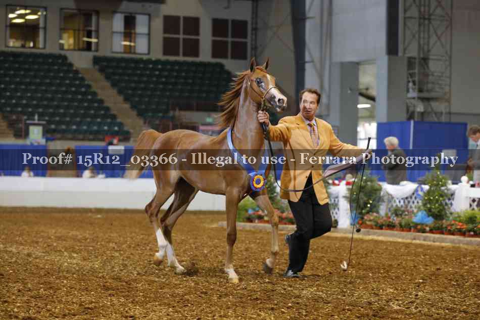 Proof 15R12_03366