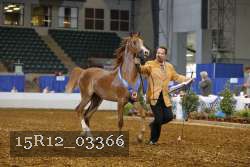 15R12_03366 proof