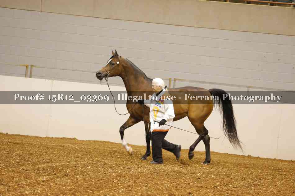 Proof 15R12_03369