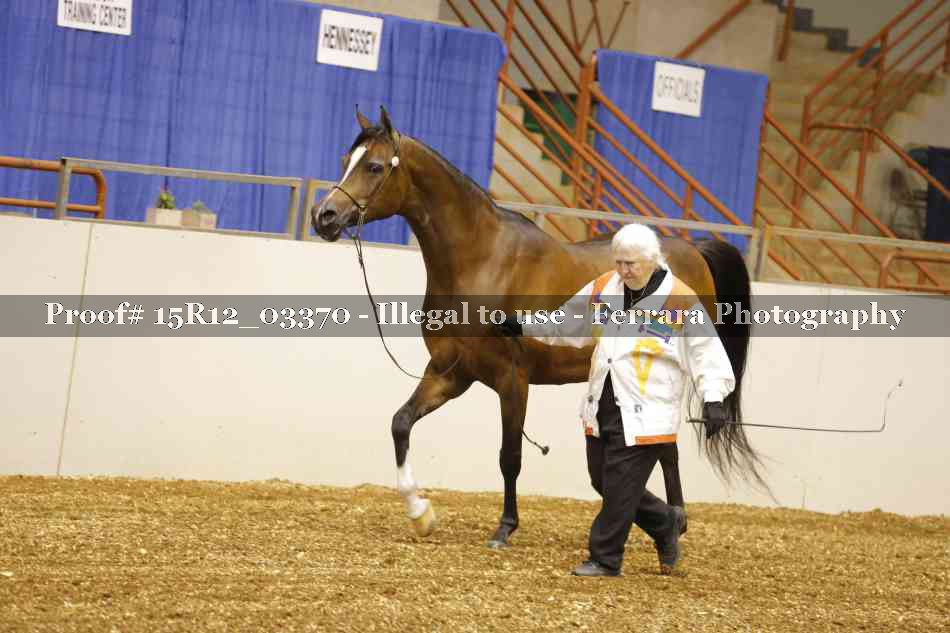 Proof 15R12_03370