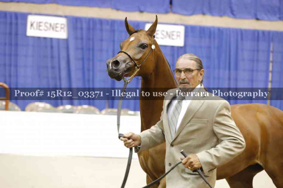 Proof 15R12_03371