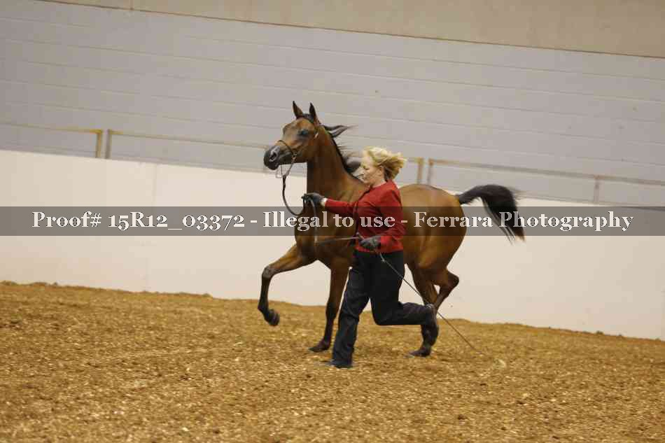 Proof 15R12_03372