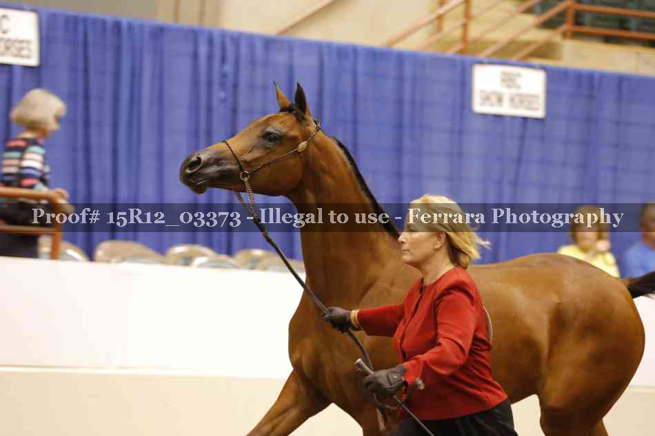 Proof 15R12_03373