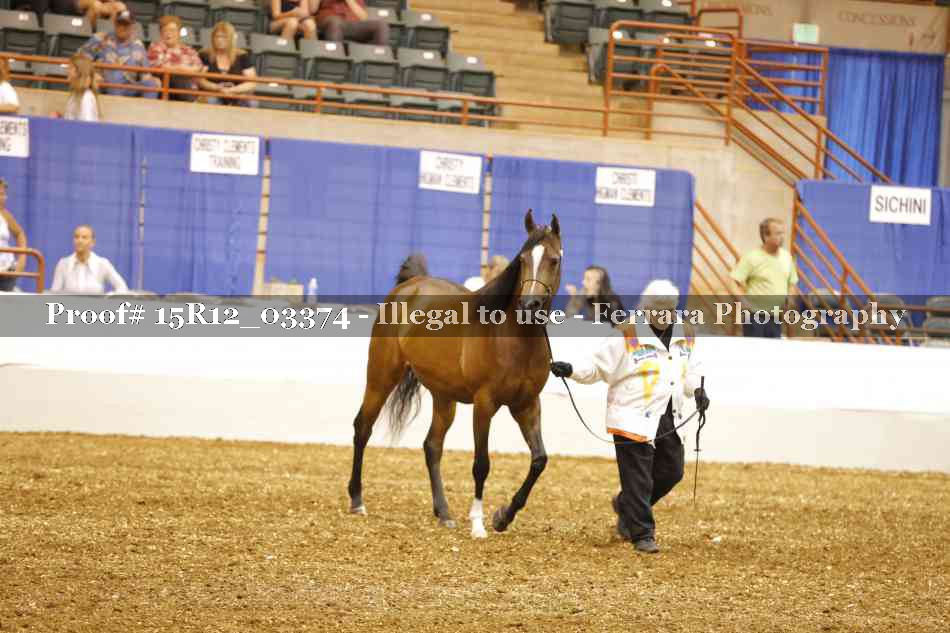 Proof 15R12_03374