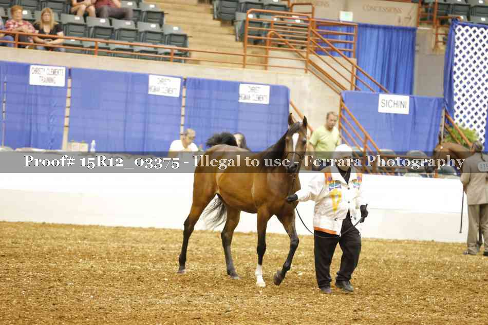 Proof 15R12_03375
