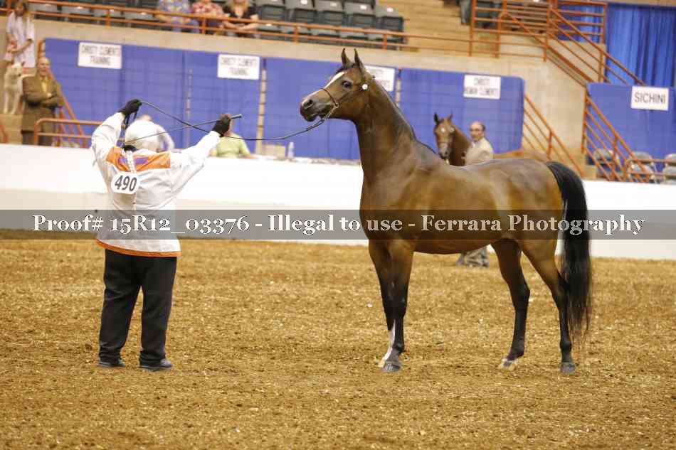 Proof 15R12_03376