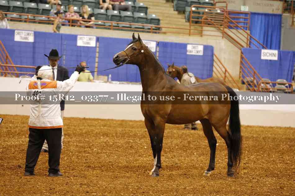 Proof 15R12_03377