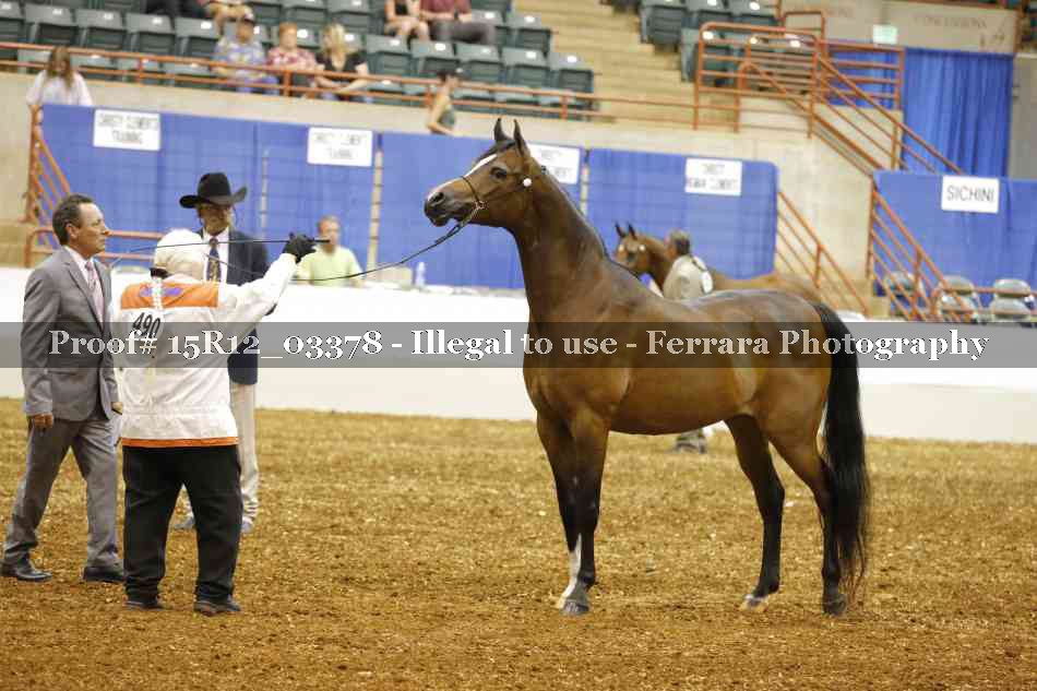 Proof 15R12_03378