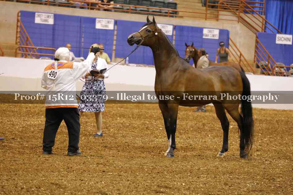 Proof 15R12_03379
