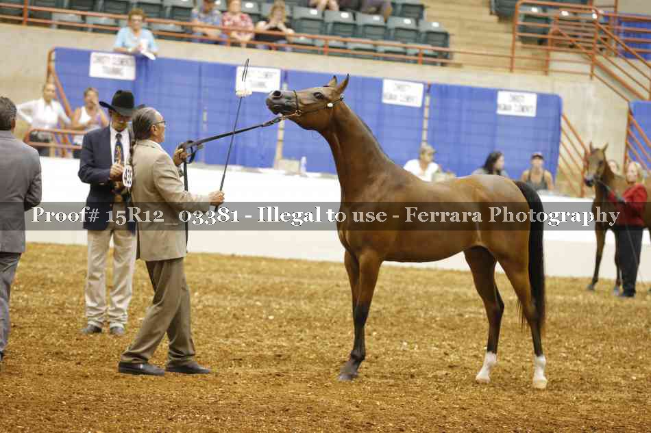 Proof 15R12_03381