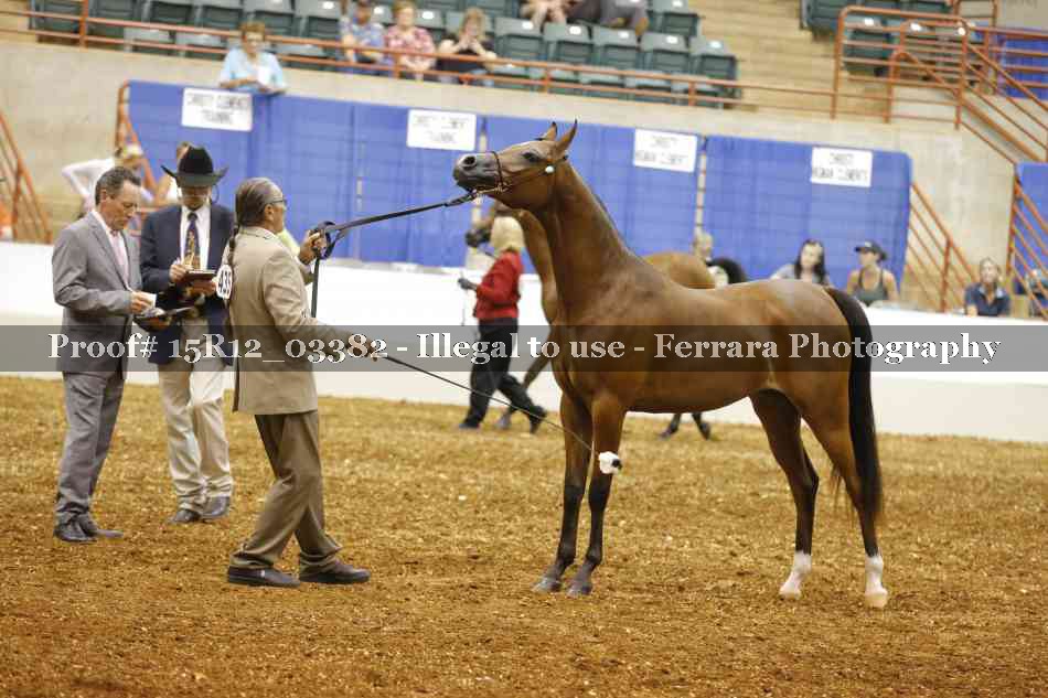 Proof 15R12_03382