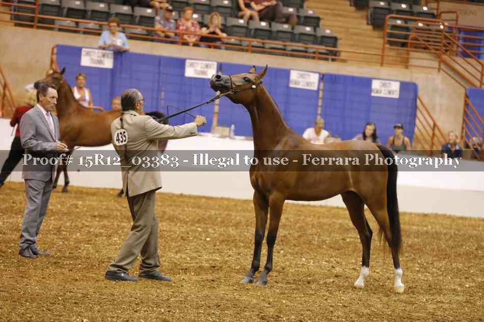 Proof 15R12_03383