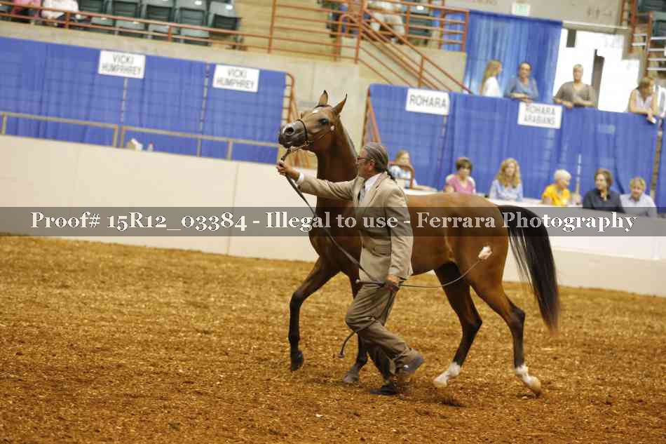 Proof 15R12_03384