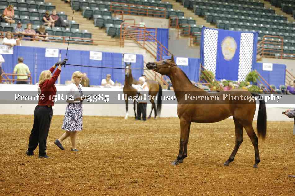Proof 15R12_03385