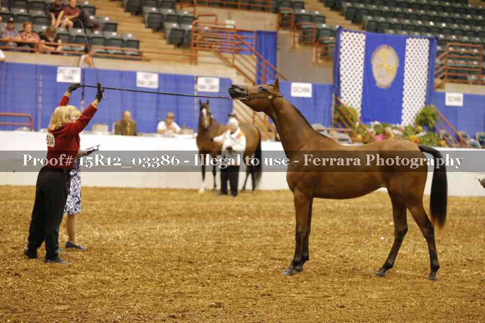 Proof 15R12_03386