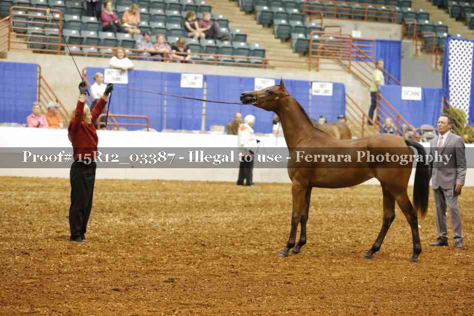 Proof 15R12_03387