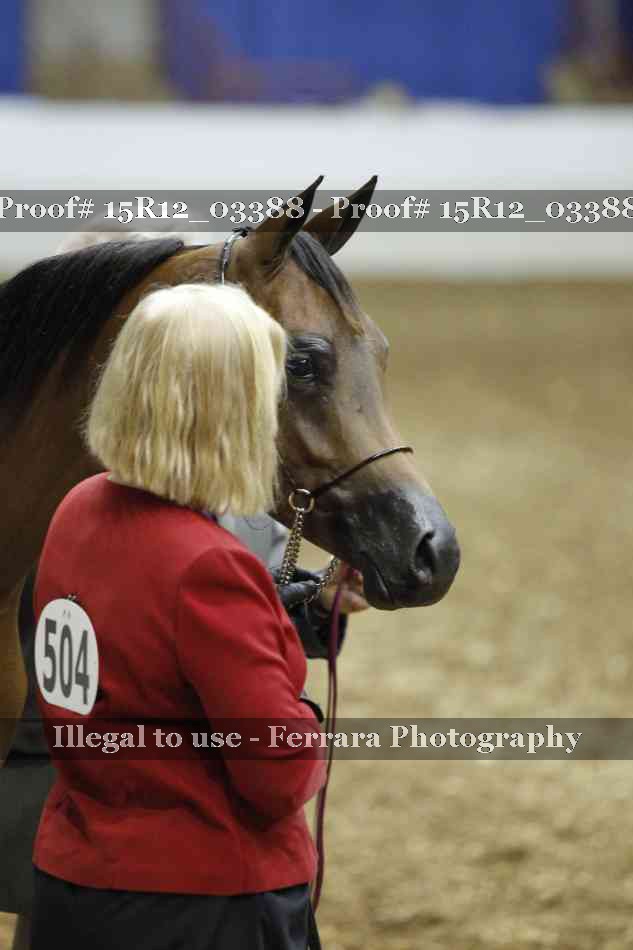 Proof 15R12_03388
